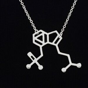 Psilocybin Magic Mushroom Chemistry Structure Molecule Statement Necklace